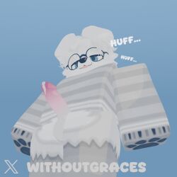 1boy 3d absurd_res anthro balls blue_eyes blush bodily_fluids canine cum ejaculation english_text erection eyewear femboy furry genital_fluids genitals glasses hair highres humanoid_penis male mammal panting pawpads penis roblox robloxian short_hair simple_background smile solo sweater text tounge_out twitter_username watermark white_fur withoutgraces