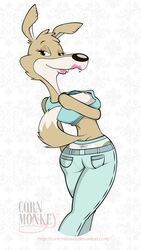 blinky_bill_(series) canine color corn_monkey daisy_dingo dingo female female_only fur furry mammal solo uncensored