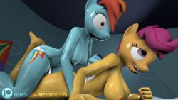 3d animal_genitalia animal_penis breasts cum cum_in_pussy cum_inside dickgirl equine equine_penis female friendship_is_magic futa_on_female futanari horsecock intersex intersex/female mammal my_little_pony needsmorefuta nipples penetration penis rainbow_dash_(mlp) scootaloo_(mlp) sex straight_hair unwanted_cumshot vaginal_penetration