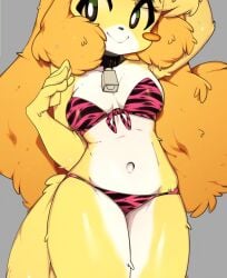animal_crossing bikini furry isabelle_(animal_crossing) slugbox tagme