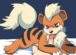 blush breathing_heavily canid canine claws fangs female feral feral_female feral_on_human growlithe licking_penis looking_at_viewer nintendo oral penis pokemon pokemon_(species) pokephilia sweat sweating tongue yttriumi2f zoophilia
