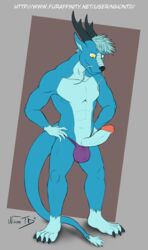 1boy anthro balls clothing digital_media_(artwork) dragon eastern_dragon erection hair hands_on_hips horn male male_only nihontd nihonthedragon penis scalie solo speedo swimsuit