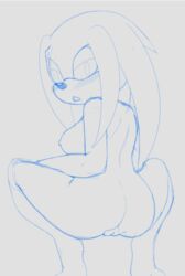 anthro breasts echidna female jammiez mammal mobian_(species) monotreme nude princess_alucion pussy solo sonic_(series) sonic_adventures