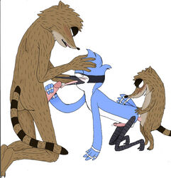 don male_only mordecai regular_show rigby tagme