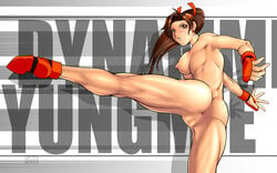 arikawa female fighter's_history liu_yungmie