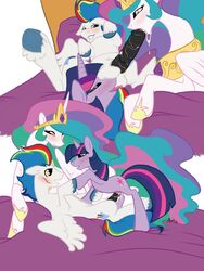 alicorn equine female friendship_is_magic jabberwockychamber male my_little_pony pegasus princess_celestia_(mlp) straight_hair twilight_sparkle_(mlp) unicorn