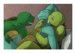 anthro donatello male male_only michelangelo momorawrr raphael teenage_mutant_ninja_turtles