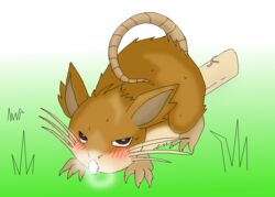 artist_request feral nintendo pokémon_(species) pokemon pokephilia raticate tagme