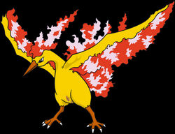 anus color female female_only feral fire moltres pokemon solo standing tagme vulva wings