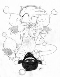 amy_rose chao_(sonic) dark_chao excito fellatio female fur furry hedgehog interspecies male monochrome oral sex size_difference sonic_(series) sonic_team straight vaginal_penetration