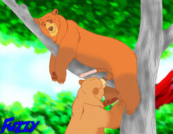 brother_bear disney feral kenai nita_(brother_bear) outdoors penis tagme testicles