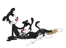 animaniacs balls cum cum_in_mouth cum_inside fellatio foot_fetish footjob furry furry_only gay ishoka male no_humans oral oral_sex original_character penis sex yakko_warner