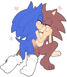 fan character from sega by senshion