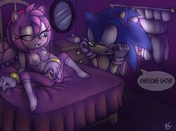 amy_rose blue-chika blue_fur bluechika furry hedgehog mammal sonic_(series) sonic_the_hedgehog sonictopfan