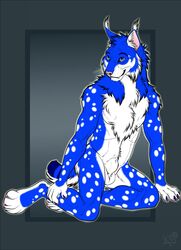 2019 5_fingers abs anatomically_correct animal_genitalia anthro balls biceps blue_eyes blue_fur blue_hair chest_tuft claws ear_tuft fangs felid feline fully_sheathed fur hair hi_res kneeling lynx male male_only mammal markings muscular muscular_male nude patrikthedog pawpads paws pecs pink_nose pinup pose sheath simple_background smile solo spots spotted_fur teeth tuft whiskers white_fur