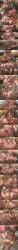 1boy 1boy1girl 1girls angel angel_girl angel_wings anus big_ass big_breasts big_penis black_hair blowjob breasts brown_hair comic_strip cum cum_in_pussy cum_inside cum_on_body cum_on_breasts cum_on_face cum_on_hair fivesome foursome fox_ear fox_girl fox_tail hand_print hand_print_on_ass hand_print_on_butt hoshimi_miyabi long_image male_pov paid_content paid_reward patreon_exclusive penetration pink_hair pussy remielle_(zenless_zone_zero) remielle_dan sex straight straight_sex tall_image white_hair wise_(zenless_zone_zero) ye_shunguang ye_shunguang(zenless_zone_zero) yixuan_(zenless_zone_zero) zenless_zone_zero zergbrush