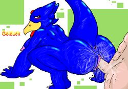 color female golduck human interspecies male nintendo penis pokemon sex straight vaginal_penetration vulva