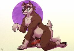 animal_genitalia animal_penis anthro balls brown_body brown_fur canid canine canine_genitalia canine_penis canis domestic_dog el_otis erection eyewear facial_hair floppy_ears fluffy fluffy_tail fur genitals glasses hair hi_res knot knotted_penis leaning_on_self male mammal mustache nipples nude nude_male paws penis ponytail presenting pubes schnauzer solo tail whiskyshot