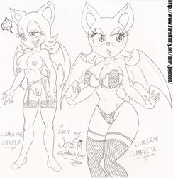 anthro bat breasts color female female_only fur furry nipples rouge_the_bat solo sonic_(series) standing supergeorgesapiens tagme vulva wings