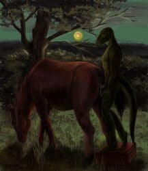 2024 anthro anthro_on_feral anthro_penetrating anthro_penetrating_feral anus ass biped colored dracenmarx duo dusk equid equine erection female female_penetrated feral feral_penetrated gashik_(artist) genitals green_body green_tail height_assist hi_res horse humanoid_genitalia humanoid_penis interspecies larger_feral larger_penetrated lewis_resmond lizard male male/female male_on_feral male_penetrating male_penetrating_female male_penetrating_feral mammal monitor_lizard nude outside penetration penile penile_penetration penis penis_in_pussy pussy quadruped reptile scalie sex size_difference smaller_anthro tail vaginal_penetration vaginal_penetration zoophilia