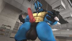 big_ass big_balls big_penis blue_fur completely_nude_male expansion furry growth human_to_anthro killerchidna lucario muscular muscular_male nude pokemon pokemon_(species) post_transformation