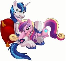 animal animated friendship_is_magic my_little_pony pandadox princess_cadance_(mlp) shining_armor_(mlp)