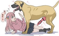 1dog 1girls animal_genitalia animal_penis artist_request big_breasts blue_eyes bocchi_the_rock! breasts canine canine_penis censor_bar censored color dog_penis domestic_dog femsub gotou_hitori huge_breasts imminent_rape imminent_sex interspecies japanese_text large_breasts legs light-skinned_female long_hair pink_hair schoolgirl skirt socks text thick_legs thighs translation_request zoophilia zoophilia