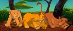 anal anal_penetration anal_sex cub cub_on_cub cum cum_in_ass cum_in_mouth disney feline female female_feral feral feral_on_feral fur kai licking_penis lion lioness male male/male male_on_male male_penetrated male_penetrating male_penetrating_male malka_(the_lion_king) mammal nala_(the_lion_king) oral oral_penetration oral_sex simba_(the_lion_king) stalking tail_raised tail_tuft the_giant_hamster the_lion_king watching watching_sex young young_feral young_on_young