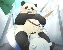 male_only panda polar_bear shirokuma shirokuma_cafe tagme