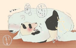 male_only panda polar_bear shirokuma shirokuma_cafe tagme