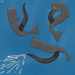 1:1 animal_genitalia anus aquatic autofellatio big_anus big_penis blush bodily_fluids cetacean cum cumshot ejaculation excessive_cum excessive_genital_fluids excessive_precum feral genital_fluids genitals grey_body hi_res huge_penis hyper hyper_genitalia hyper_penis male mammal masturbation neck_bulge obby oral oral_masturbation penile penile_masturbation penis precum precum_in_mouth precum_in_own_mouth solo sperm_whale toothed_whale underwater water whale