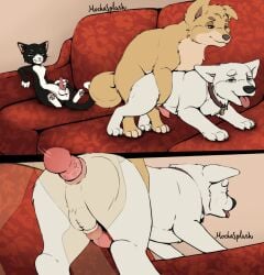 anal angel_(lady_and_the_tramp) animal_genitalia animal_penis anus balls berger_blanc_suisse black_body black_fur bodily_fluids bolt_(bolt) bolt_(film) butt canid canine canine_genitalia canine_penis canis collar crossgender digital_media_(artwork) disney doggystyle domestic_cat domestic_dog erection eunuch felid feline felis feral feral_on_feral from_behind_position ftm_crossgender fur furniture genital_fluids genitals german_shepherd group herding_dog knot lady_and_the_tramp male male_penetrating mammal masturbation mittens_(bolt) mochasplash open_mouth pastoral_dog pawpads paws penetration penile penile_penetration penile_spines penis pink_anus pink_penis red_collar red_sofa sex sitting smile sofa tail tan_body tan_fur tongue trio tuxedo_cat white_body white_fur