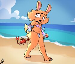accident accidental_exposure ambiguous_gender anthro arthropod beach bodily_fluids bulge clothing crab crustacean decapod dexterx flying_sweatdrops hand_on_butt hand_on_own_butt lagomorph malacostracan mammal outside pinch shocked solo sweat sweatdrop swimwear tears