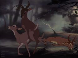 bambi_(character) bambi_(film) deer disney faline ronno the_giant_hamster what