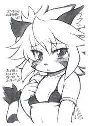 anthro mayoineko solatorobo tagme