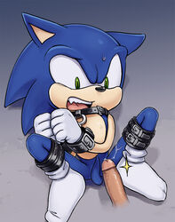 2boys blue_fur disembodied_penis exposed_torso footwear fur furry green_eyes handwear hedgehog humanoid karlo male male_only mammal penis restrained sonic_(series) sonic_the_hedgehog