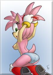 amy rose from sega by the other half