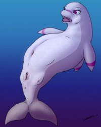 anus cetacean chubby crotchboobs dolphin female feral marine purple_eyes pussy solo underwater water what zevex