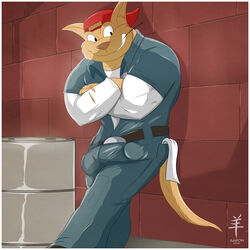 1boy 2015 aaron_(artist) anthro balls bulge chance_furlong feline male male_only mammal penis smile solo swat_kats