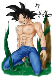 1boy dragon_ball dragon_ball_z h-chan_(artist) male male_only solo son_goku