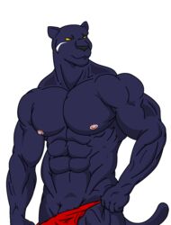 anthro black_fur clothes color front_view fur furry furry_tail male male_only muscles panther panther_caroso simple_background solo star_fox tail topless transparent_background