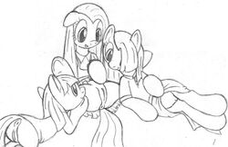 friendship_is_magic limestone_pie marble_pie my_little_pony pinkamena_(mlp) pinkie_pie_(mlp) straight_hair tg-0 yuri