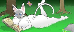 kitty (hayakain) fan art