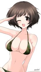 akiyama yukari from girls und panzer