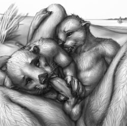 69 2012 anakuro balls boat cute erection fellatio gay greyscale licking male marine monochrome mustelid nude oral oral_sex otter outside pecs penis sand sea sea_otter seaside sex sky tongue uncut water wet wet_fur whiskers