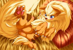 arcanine bed canine claws female feral fluffy_tail nintendo paws pokemon pokemon_(species) pussy tamanosuke