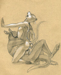 Anal Rule 34 Image