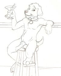 anthro brian_griffin canine erection family_guy fur furry male male_only martini penis solo tyelle_niko