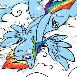 blush cloud equine erection female friendship_is_magic hair horse masturbation multicolored_hair my_little_pony pegasus penis pony purple_eyes rainbow_dash_(mlp) rainbow_hair reiduran solo straight_hair sweat wing_boner wings