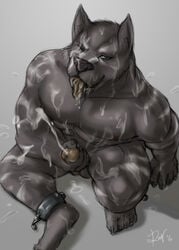 2010 abs anthro balls biceps big blue_eyes canine claws closed_eyes cuffs cum cum_everywhere cum_in_mouth cum_inside cum_on_arm cum_on_chest cum_on_face cum_on_leg cum_on_self cum_on_stomach cum_on_tongue cumshot erection excessive_cum fur furry looking_at_viewer male male_only masturbation messy muscles nipples nude orgasm paws pecs penis pose rov shackles sitting solo stripes toe_claws tongue vverevvolf werewolf wolf